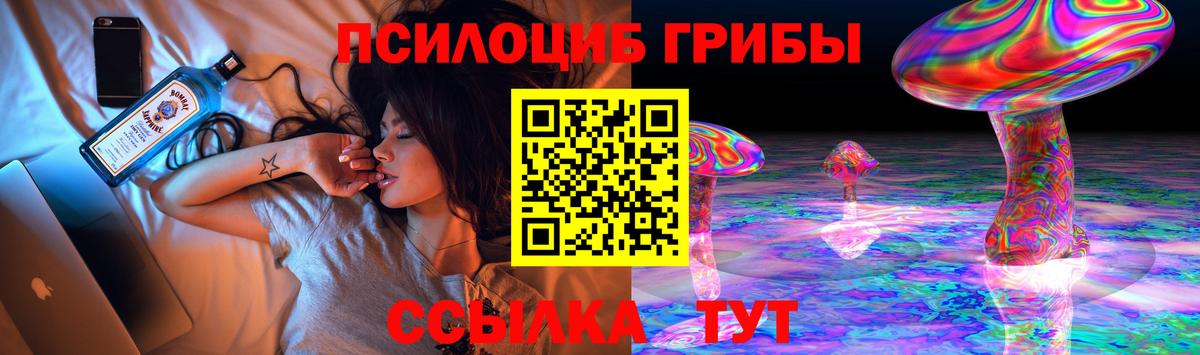 Псилоцибиновые грибы Psilocybe Елец